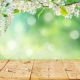 green-bokeh-in-sunlight-with-floor-background-for-spring-backdrop_1024x1024@2x